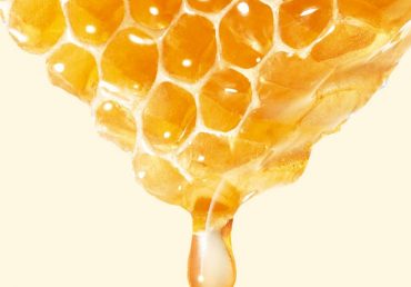 Benefits of Bee Honey