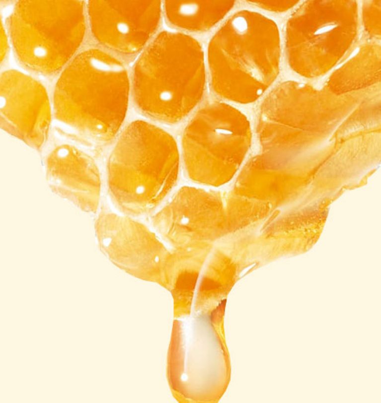 Benefits of Bee Honey