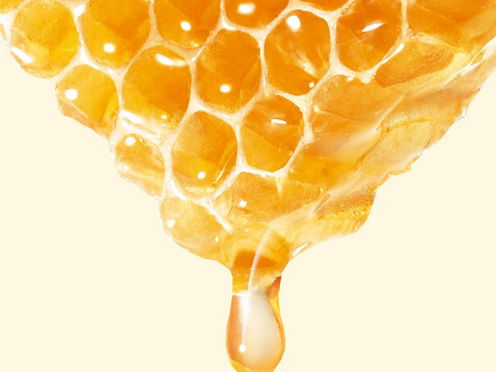 Benefits of Bee Honey